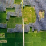 Ghid complet despre beneficii, instalare și economiile panourilor solare