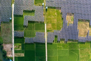 Ghid complet despre beneficii, instalare și economiile panourilor solare