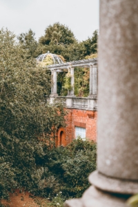 Grădini organice în mediul urban: Cum să-ți creezi un colț verde într-un spațiu limitat
