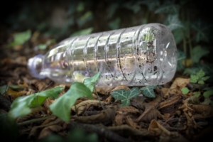 Recicleaza corect deseurile: Ghid complet pentru un stil de viață sustenabil și fără plastic