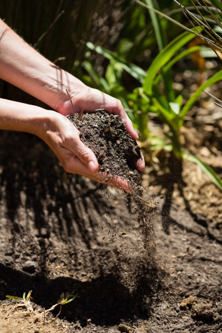 Permacultură și diversitatea ecologică: Cum să creezi un mediu sustenabil pentru plante și animale Permacultură și diversitatea ecologică: Cum să creezi un mediu sustenabil pentru plante și animale