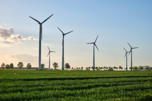 Parcuri eoliene: Cum funcționează și cum contribuie la producția de energie regenerabilă