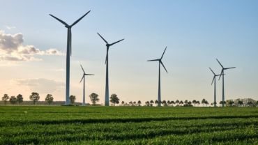 Parcuri eoliene: Cum funcționează și cum contribuie la producția de energie regenerabilă