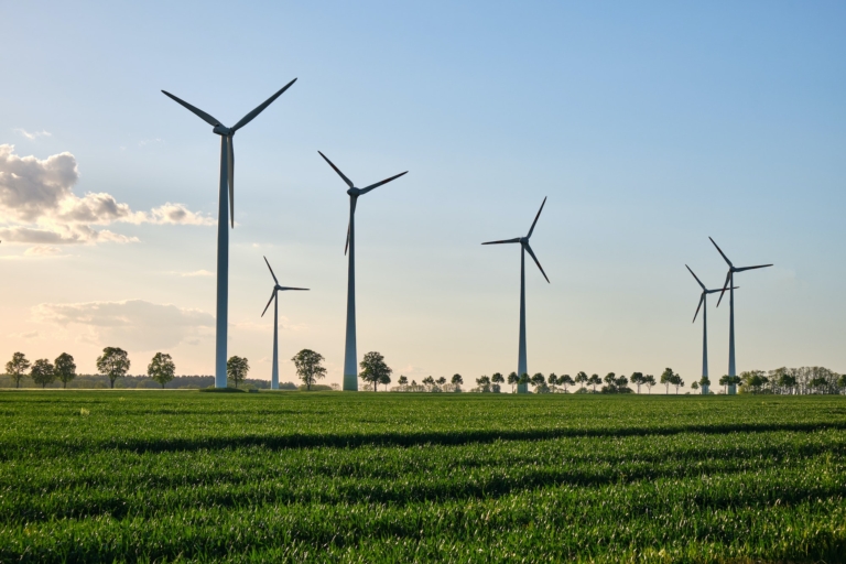 Parcuri eoliene: Cum funcționează și cum contribuie la producția de energie regenerabilă