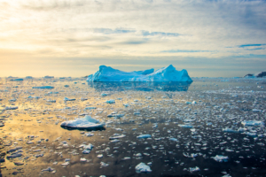 Combaterea schimbărilor climatice: Cum putem acționa împotriva amenințării globale
