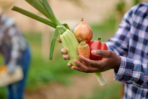 Alimentație sustenabilă în bucătărie: Alimente si cum sa reduci risipa gatind sanatos