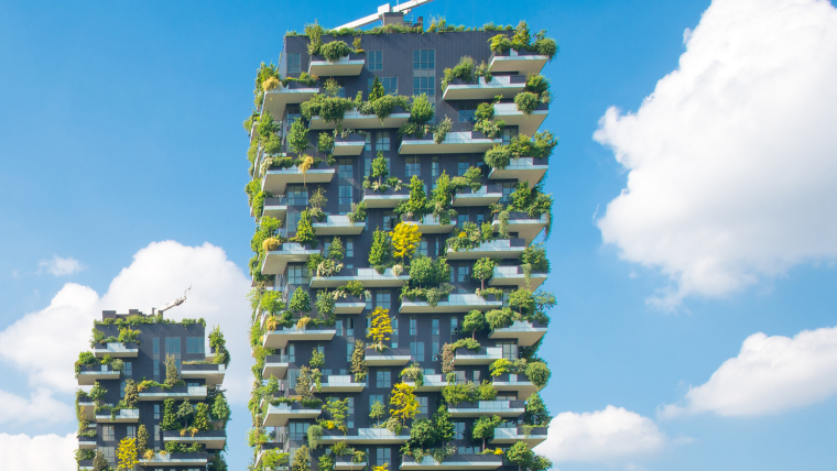 Grădinăritul vertical în oraș: Tehnici inovatoare pentru maximizarea spațiului disponibil