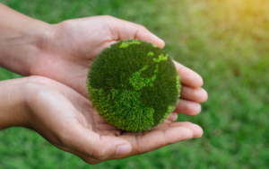 Proiecte de conservare a biodiversității: Investiții în viitorul naturii
