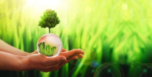 Evenimente ecologice de top: Descoperă cele mai recente conferințe și activități în domeniul sustenabilității