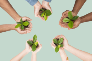6 Campanii pentru un viitor verde: Implică-te în mișcarea globală pentru schimbare