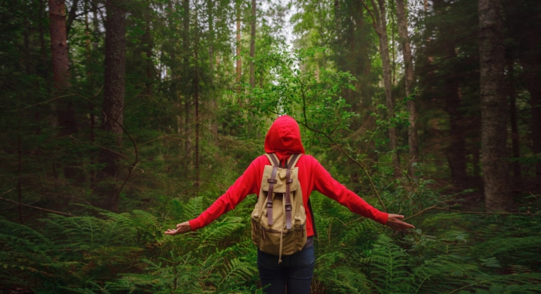 Destinații de călătorie eco-friendly: Explorează rezervații naturale și parcuri naționale într-un mod responsabil