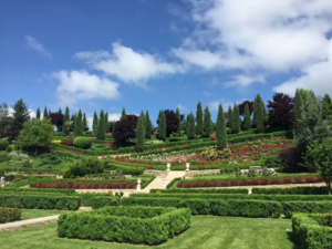 Giardini di Zoe: O oază a naturii și frumuseții în mijlocul agitației urbane