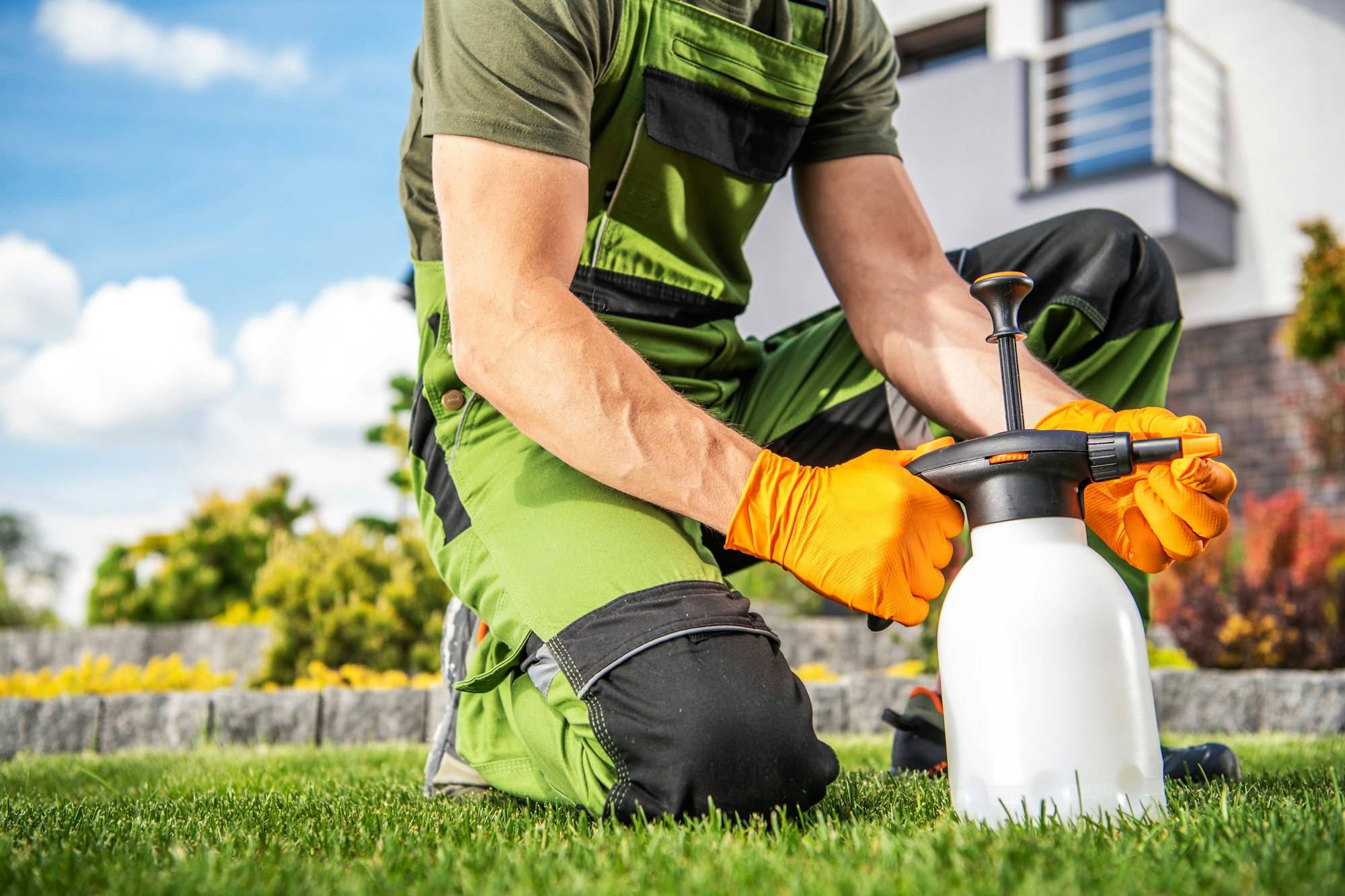 Insecticidul Talent: Scutul complet împotriva insectelor dăunătoare