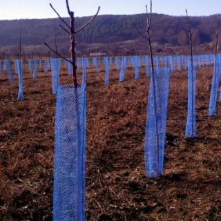 Plasa protecție pomișori – scutul invizibil care salvează recolta încă din primul an