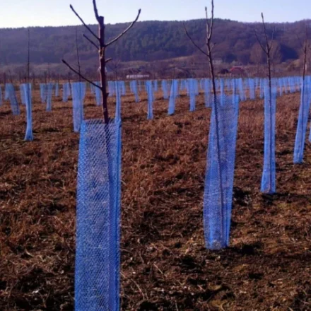 Plasa protecție pomișori – scutul invizibil care salvează recolta încă din primul an