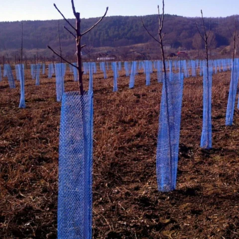 Plasa protecție pomișori – scutul invizibil care salvează recolta încă din primul an